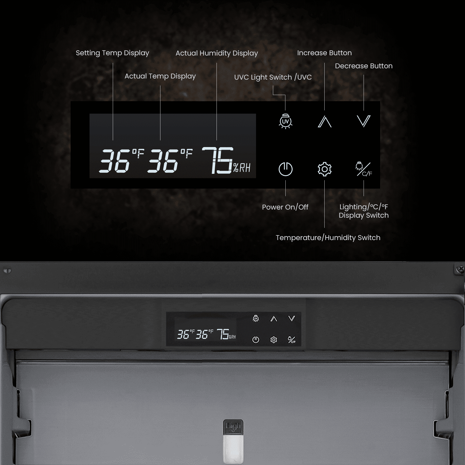 Ca'Lefort Dry Aging Fridge for Steaks, 12.43 cu.ft. Meat Ager Refrigerator for Restaurant/Bar/Kitchen/Home with Dual-Layer LOW-E Glass
