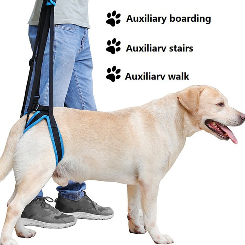Reflective Dog Lift Support Harness for Aging Injury Senior Dogs Aid Rear Helper 