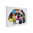thumbnail image 2 of Trademark Fine Art 'Shih Tzu Abstract' Canvas Art by Michel Keck, 2 of 3