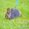 thumbnail image 6 of Rabbit Harness Leash, Adjustable Bunny Harness Leash Cute Vest Harness for Rabbit Ferret Bunny Kitten Guinea Pig Walking, 6 of 7