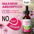 thumbnail image 3 of Lymphatic Drainage Liquid Drops, 11-In-1 with Echinacea, Elderberry, Red Clover for Lymph System & Immune Support, 2 fl oz, 3 of 7