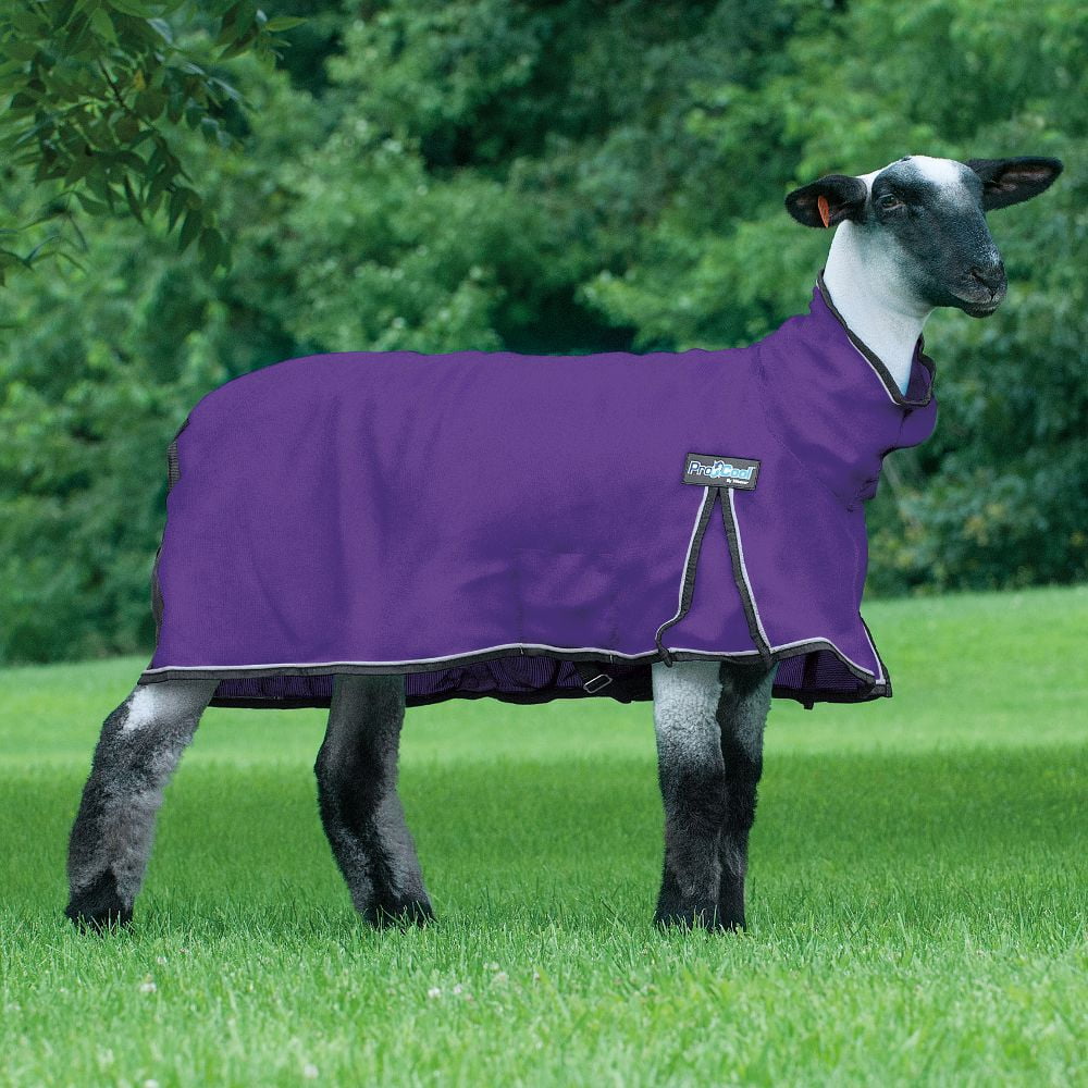 Weaver Leather ProCool Mesh Sheep Blanket Large Purple