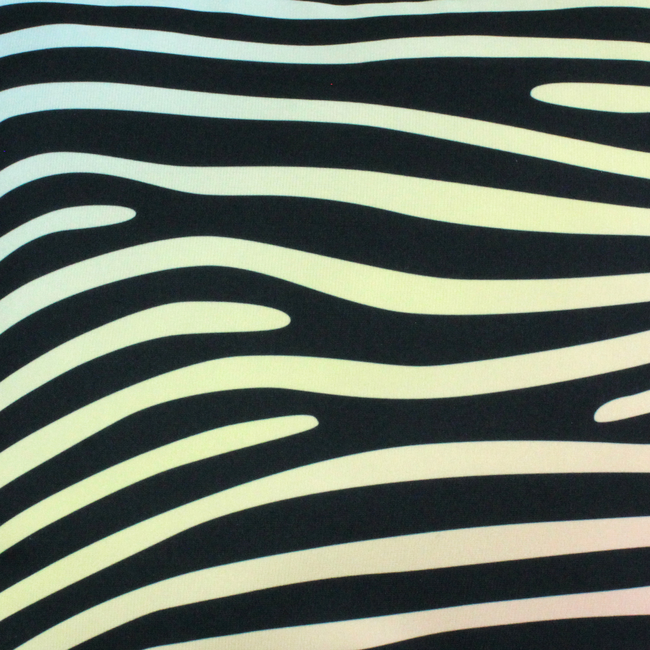 Everything Comfy Zebra Print Decorative Throw Pillow, 16x16 Inch, Pastel Gradient/Black,