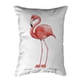thumbnail image 2 of Betsy Drake NC084W 16 x 20 in. Flamingo White Background Non-Corded Indoor & Outdoor Pillow, 2 of 2
