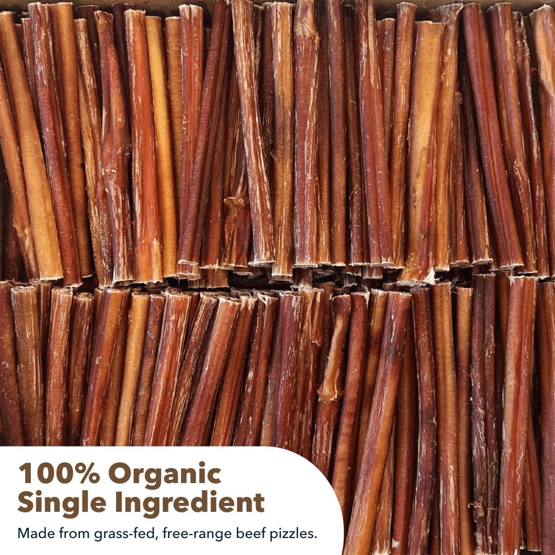 6" Thin Bully Sticks