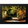 thumbnail image 2 of Hausenflock, Alan 18x13 Black Modern Framed Museum Art Print Titled - Autumn Pathway I, 2 of 5