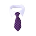 thumbnail image 3 of Conjunto de disfraz de Halloween para perro y gato, ajustable, sombrero de calabaza, capa para perro, corbata para perro, collar de bandana, gafas de sol para perros pequeños, como regalo, decoración, 3 of 3
