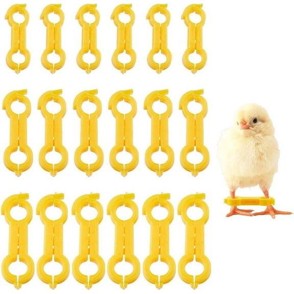 18Pcs 3 Styles Young Chick Splay Leg Hobble Brace Young Chicken Parrot Splay Legs Hobbles Chick Leg Brace Kit for Spraddle Quails Ducks Bird Parrot