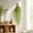 White, variant on SUTWOEN Artificial Hanging Green Leaves And Flowers Wall Hanging Decoration Garland For Indoor Outdoor Wall Decor Home Bedroom Living Room Boho Wall Ornament