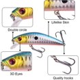 thumbnail image 2 of 2 Pieces Bionic Artificial Lure Artificial Floating Lure Artificial Lure Fishing Bait, 2 of 5