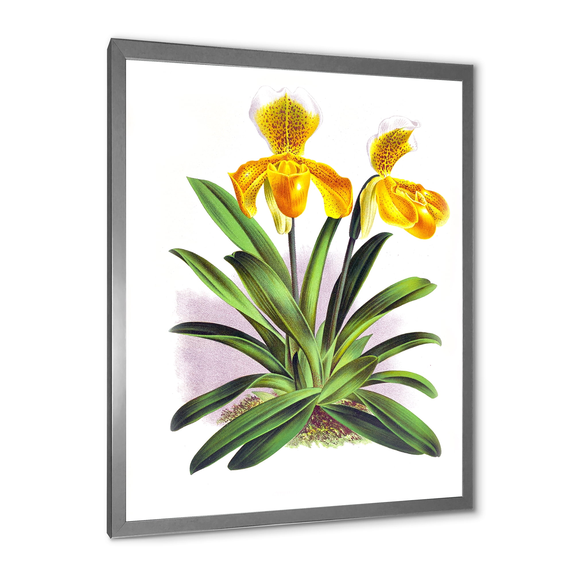 Designart 'Yellow Vintage Orchid' Traditional Framed Art Print