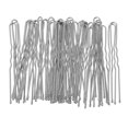 thumbnail image 1 of 3 Boîtes Épingles à Cheveux en Résine Élégantes Fourchette Antidérapante en Forme de U pour Femmes Filles, 1 of 8