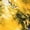 #386-Gold, variant on Tie Dye Shirts for Men's 70s 80s 90s Retro Hippie Short Sleeve Tees Washable Vintage Festival Clothing