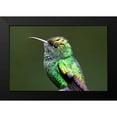 thumbnail image 2 of Malvin, Larry 14x11 Black Modern Framed Museum Art Print Titled - Copper Headed, 2 of 5