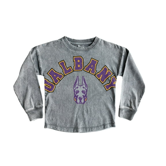 Youth Gameday Couture Gray UAlbany Great Danes Faded Wash Pullover Top