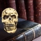 thumbnail image 2 of Craneo chico, 2 of 5