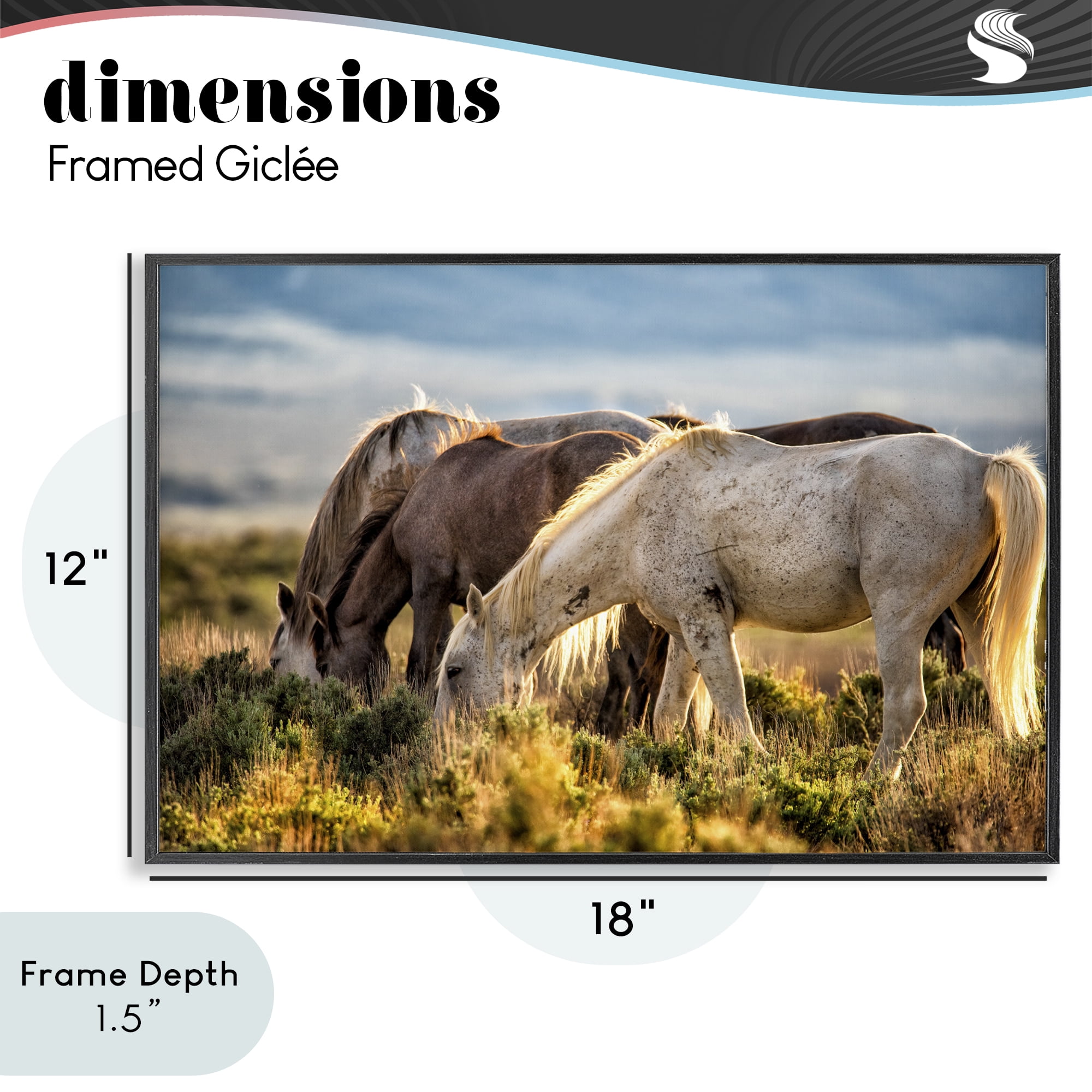 Stupell Industries Equine Evening Graze Black Framed Giclee Art, design by Tim West