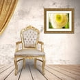 thumbnail image 3 of Nourock, Jonathan 14x12 Gold Ornate Wood Framed with Double Matting Museum Art Print Titled - White Lisianthus I, 3 of 4