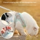 thumbnail image 5 of Conjunto de arnés y correa para mascotas, reflectante, transpirable, ajustable, para perros pequeños y medianos, correa para el pecho para caminar al aire libre, 5 of 5