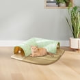 thumbnail image 1 of BELOVING Kitten Tunnel Tube Cat Passage Kitty Entertainment Foldable Interactive Play Toy L, 1 of 10