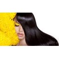 thumbnail image 5 of Placenta Life Be Natural Nutri Quinua Conditioner- Total Nutrition Conditioner for Chemically Processed Hair-Nourishing-Repairing-Strengthening-Deep Nutrition- 350 ml/ 11.83 fl.oz., 5 of 5
