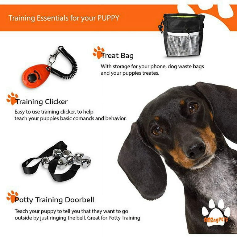 Christmas Gifts For Your Dog - Pampering Your Pet