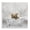 Baby Bear Bath, variant on Stupell Industries Rustic Lodge Baby Bear Bath Time Black Floating Frame Canvas Art, 18 x 18, by Kim Allen