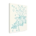thumbnail image 2 of Trademark Fine Art 'Botanical Study in Spa I' Canvas Art by Vision Studio, 2 of 3