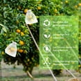 thumbnail image 3 of Fruit Protection Bags Fruit Netting Bags with Drawstring Garden Fruit Cover Mesh Bag to Protect Plants from Pest Birds Squirrels 6x8 Inch White 100PCS, 3 of 7