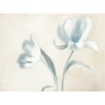 thumbnail image 2 of Poinski, Dianne 32x25 Black Ornate Wood Framed with Double Matting Museum Art Print Titled - Whispering Sky 1, 2 of 4