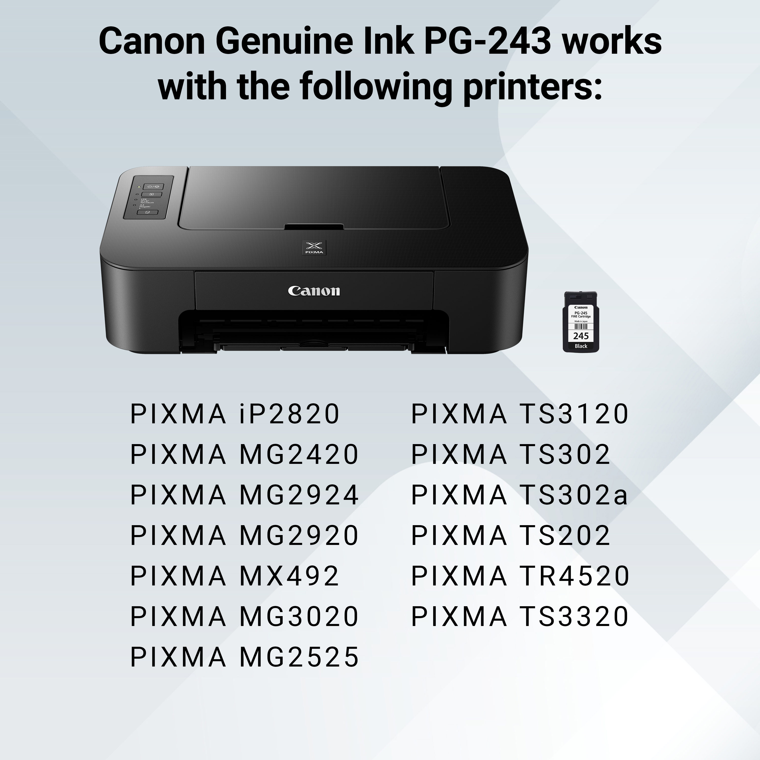 Canon PG-245 Black Inkjet Printer Cartridge photo 5