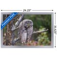 thumbnail image 3 of The Comedy Wildlife Photography Awards: John Blumenkamp - Monday Blahs Wall Poster, 14.725" x 22.375" Framed, 3 of 5