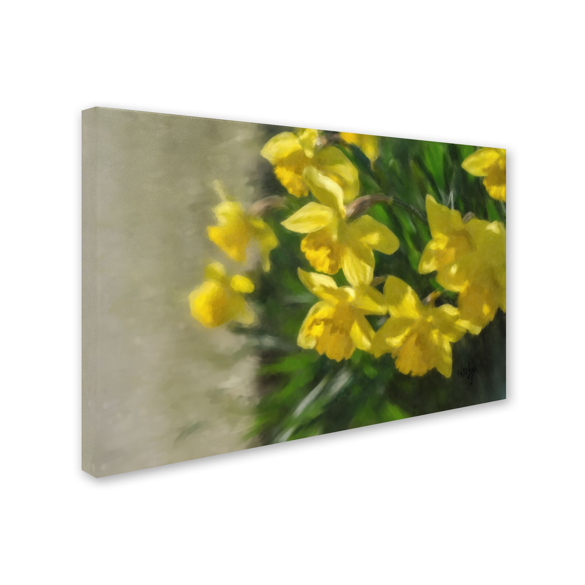 Trademark Fine Art "Daffodils Peeking" Canvas Art by Lois Bryan