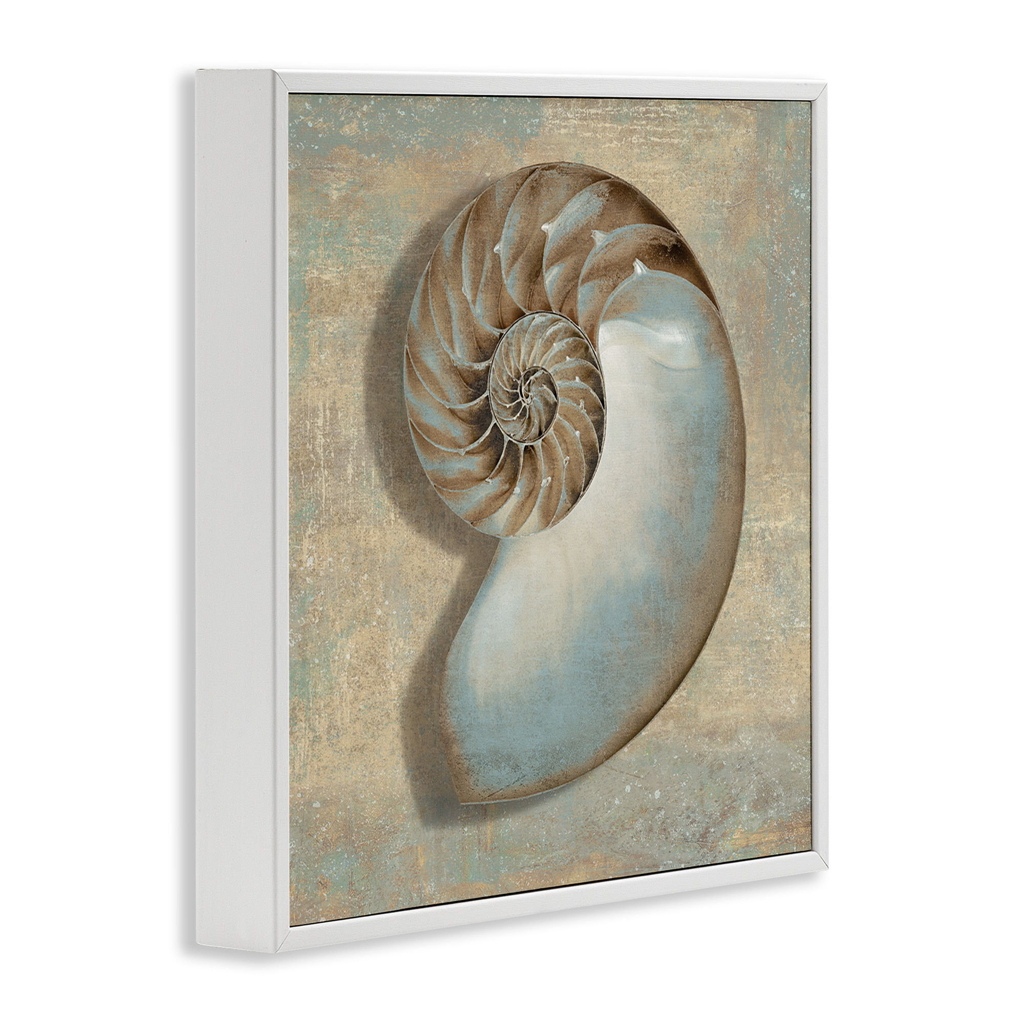 Stupell Industries Shell Beach Objects Design Nature Painting White Framed Art Print Wall Art, 17 x 17