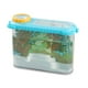 thumbnail image 3 of Set de juego Terrarium Observations Melissa & Doug, 16 piezas, 3 of 9