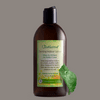Just Nutritive Indoor Tanning Lotion, Body Tanning Lotion, Natural Sun Tan Lotion, Moisturizer Tanning Lotion for Long-Lasting Tan, 8 Oz