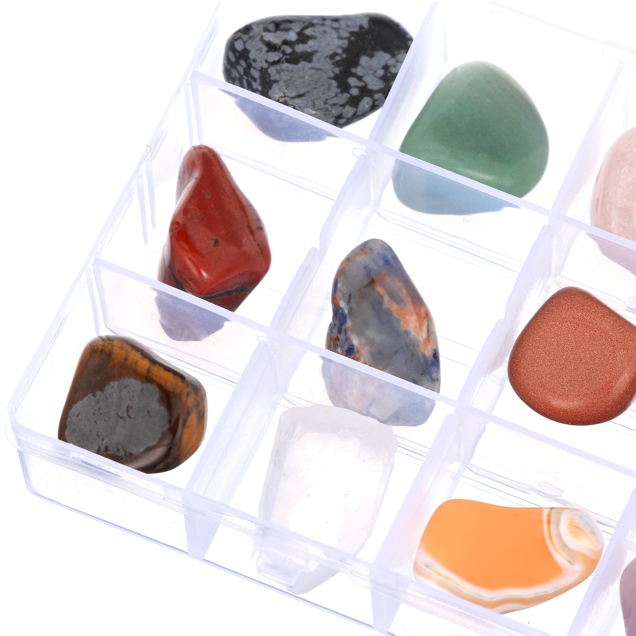 15 Piece Rock & Mineral Collection & Display Box – Dancing Bear's Rocks and  Minerals