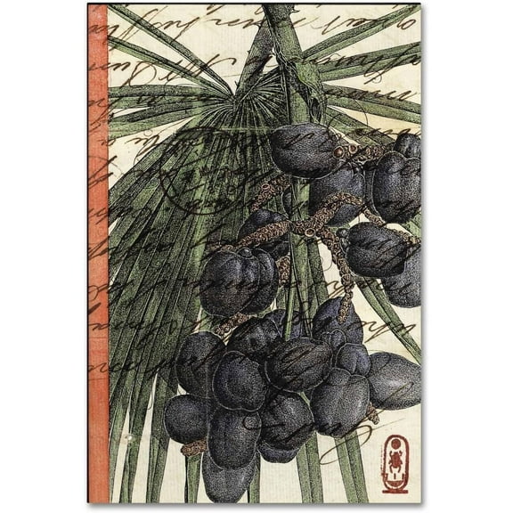 Trademark Fine Art 'Plums' Canvas Art by Nick Bantock