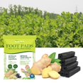 thumbnail image 1 of 10Pcs Herbal Detox Foot Patch Body Detoxification Deep Cleansing Hypoglycemic Foot Patch, 1 of 5