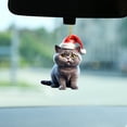 thumbnail image 5 of PEONAVET License Plate Christmas Ideas Kittens Car Pendant Backpack Pendant, 5 of 5