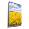 thumbnail image 2 of Epic Graffiti 'Field Of Yellow III' by Donnie Quillen, Giclee Canvas Wall Art, 12"x18", 2 of 8