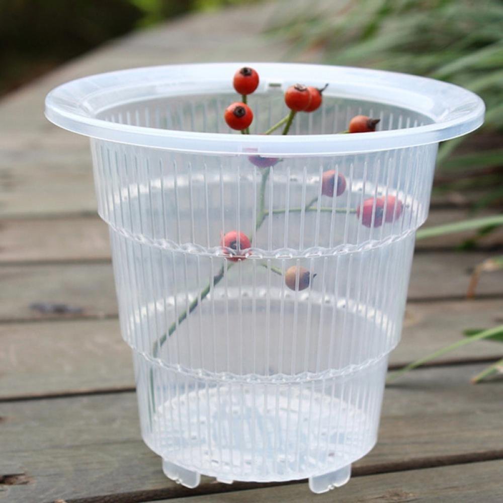 Pot Pour Orchidées Transparent Growth Technology 21 Cm - Drainage Et Aération Optimaux