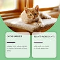 thumbnail image 3 of cat repellent pill indoor and outdoor training for pets to prevent biting, scratching, furniture interference, home repellent pill, 3 of 5