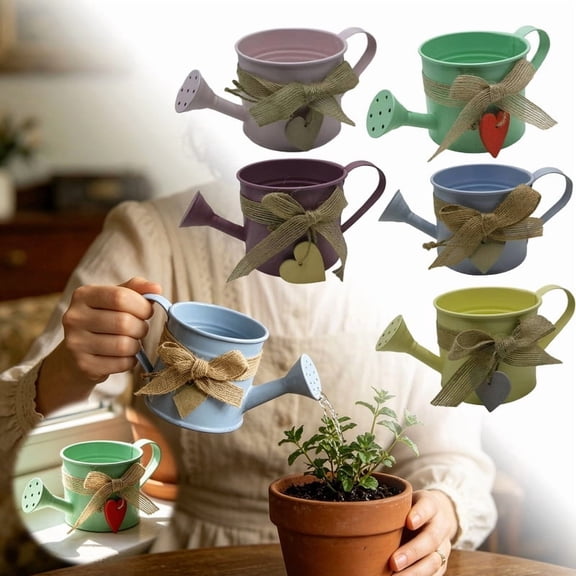 Win s Way Small Metal Watering Can, Galvanized Steel Indoor Outdoor Garden Watering Can with Long Spout for Precise Watering Tool