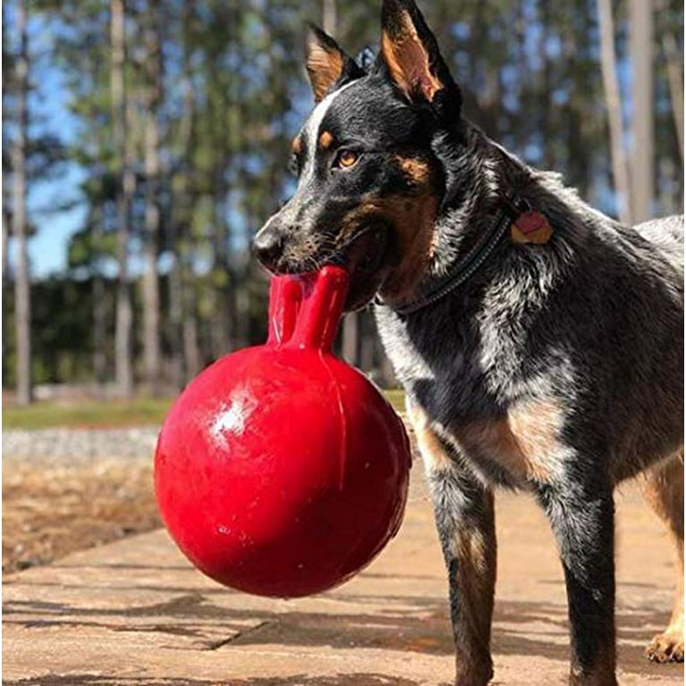 Jolly Pet Jolly Tuff Topple Dog Canine Toy Treat Reward Thick Rubber