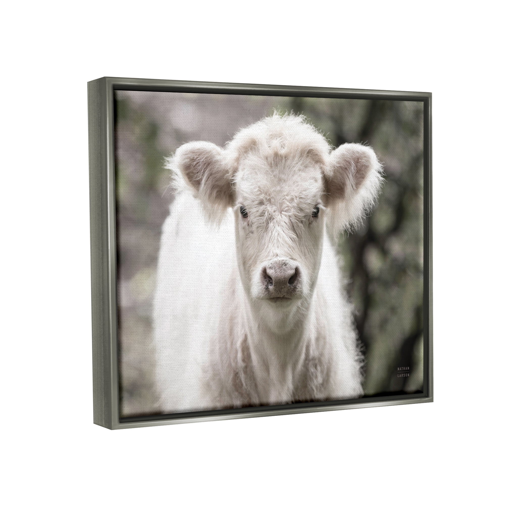 Stupell Industries White Cow Calf Portrait Animals & Insects Photography Gray Floater Framed Art Print Wall Art, 21 x 17