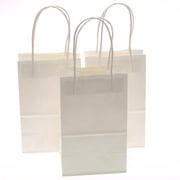 Gift Expressions White Gift Bags, 12 Count
