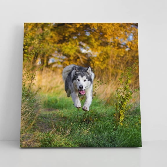 Personalized Custom Canvas Prints Photo On Canvas w/Framed Transform Your Photos Wall Art Printed Photo