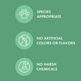 thumbnail image 4 of Dr. Mercola, Dental Chew Bones for Dogs, Large, 1 Box (12 Bones), Dog Dental Care That Helps Clean Teeth and Freshen Breath, Non GMO, Soy Free, Gluten Free, 4 of 7