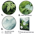 thumbnail image 3 of Designart "Chinese Mountain'S Ferm Adventure" Ferns Floater Framed Canvas Prints, 3 of 5